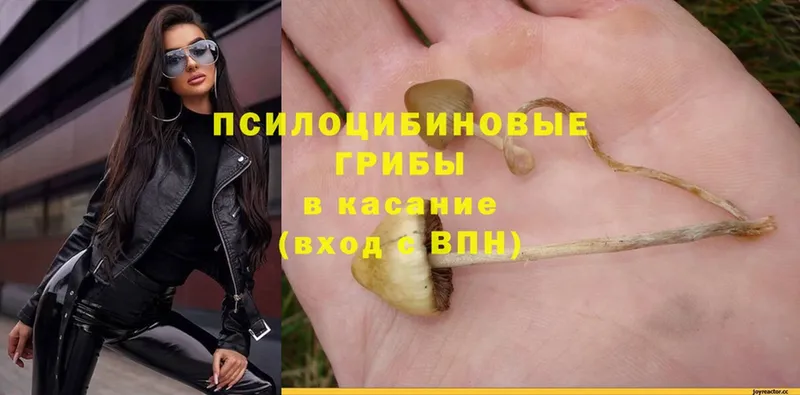 Галлюциногенные грибы MAGIC MUSHROOMS  как найти закладки  Добрянка 